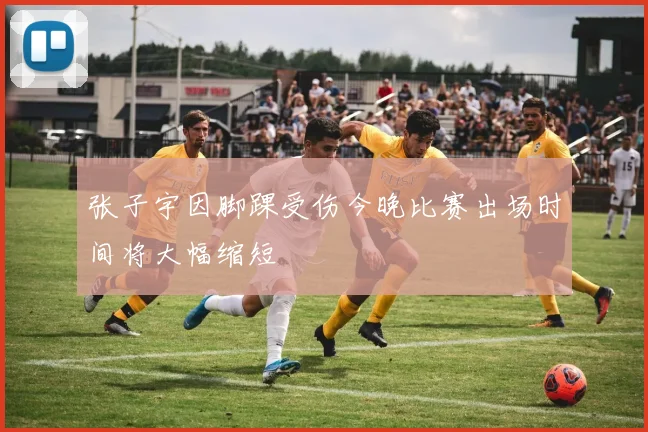 张子宇因脚踝受伤今晚比赛出场时间将大幅缩短